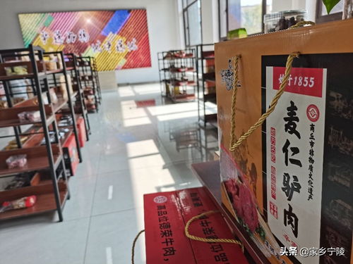 服装鞋帽行业新风向 高峰论坛在河南轩豆文化传播举办